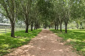 NEW-Periwinkle Cottage|Mins to Bellville - Image 2