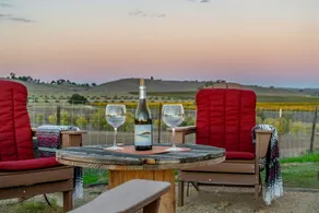 Starlight Ranch - luxury vineyard views with pool - Image 3