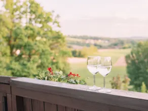Cozy Bayerwald 1003, Weitblick & Natur - Image 4
