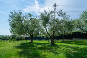 Apt x 4, free park, Wi-Fi, lake & olive grove view - Image 2