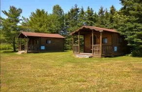 Basic Cabin - Image 4