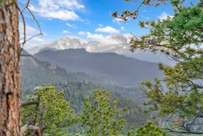 Black Canyon Haven-Walk Dist to Downtown & Stanley - Image 3