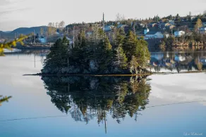 Burin Anchorage Studio Cottage - Image 4