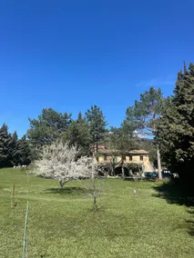 Secluded property surrounded by scrubland forest - Image 5