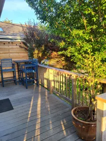 Redwood Perch - In town, Near Park, Dog Allowed - Image 3