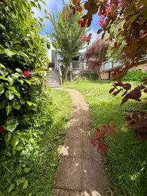 Redwood Perch - In town, Near Park, Dog Allowed - Image 5