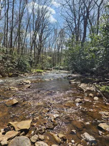 Soggy Bottom Hollow - Image 5
