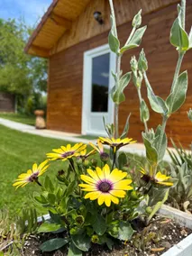 Small refurbished cottage - Image 4