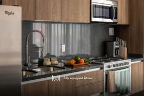 Condesa Penthouse - Skyline Views - Image 4