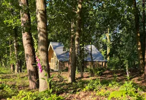 Lodge with nature all around· enjoyment ground in Twente - Image 4