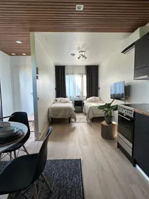 PeltoVilla - Relax in the sauna and hot tub - Image 2