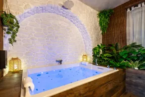 Jungle room with balneotherapy - Chavanay / Rhône - Image 2