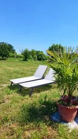 Agriturismo il meleto - Image 2