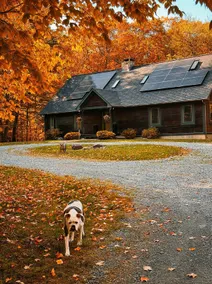 Forest Escape, 5 mins to Middlebury, Pet Friendly - Image 3