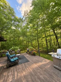 Forest Escape, 5 mins to Middlebury, Pet Friendly - Image 4