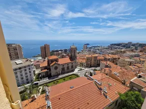 Studio Monaco - Amazing view - 7 mn walk to Casino - Image 2