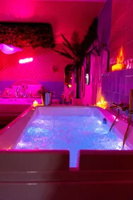 Miami Secret • Air conditioning, 2-seater hot tub & home theater - Image 2