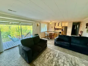 Cozy Current River Cabin, Doniphan on the water - Image 3