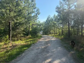 Private Cottage on Acreage Near Lake Norman - Image 5