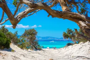 Villa Porticciolo in Alghero with large garden for 6 guests - Image 3