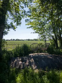 Skog Lodge | sunny place in the countryside - Image 2