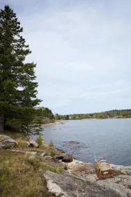 Harbor & Pine |Oceanfront near Acadia - Image 2