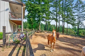Wine Country Horse Farm Cabin Near Wineries! - Image 2