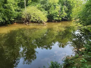 Private retreat in Manassas sleeps 7-1 hr from DC - Image 4