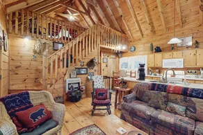 Bear Necessities Ellijay - Image 5
