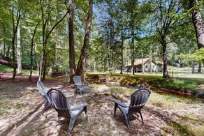 Bear Necessities Ellijay - Image 3