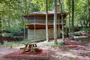 Bear Necessities Ellijay - Image 4