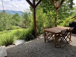 Mountain Peace 25 Min from Downtown Asheville - Image 5