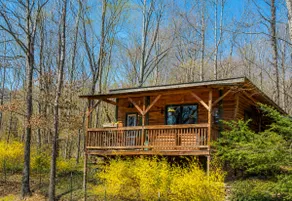 Private Farm Guesthouse Near Lookout Mtn - Image 2