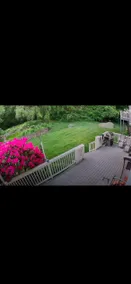4000 sqft of Paradise In A Forest! - Image 2