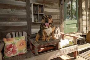 Rustic Lakefront Cabin Near Spokane - Image 2
