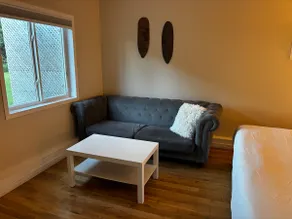 Lakeview Bachelor Suite on Irish Mountain - Image 5