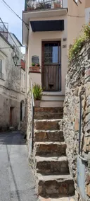 Traveling Swallow's Nest - Image 3