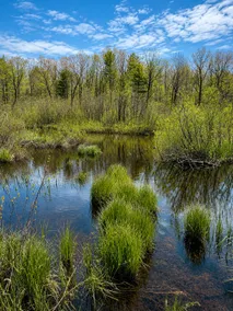 City Limits|River Front|Hot Tub|ATV Trails|Pets - Image 4
