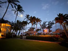 Tropical Islander Retreat - Image 5