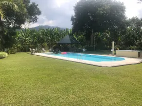 Hacienda Borneo Wi-Fi - Image 2