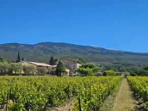 Cottage at the foot of Mont Ventoux - Private hot tub - Image 3