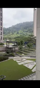 The best spot to relax with nature - Image 4
