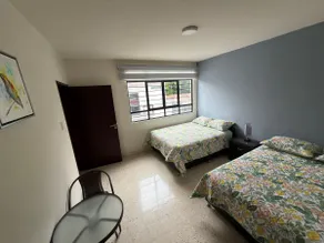 Casa los Colibríes, spacious and downtown - Image 3