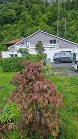 New Swiss Haven Apartment - Image 2