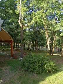 charming chalet in the heart of nature - Image 3