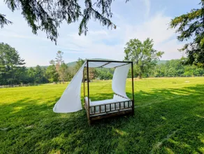Boutique Farm Stay | 30 Acres & Baby Goats - Image 3