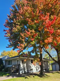 Peach House - Image 2