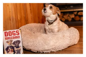 Chalet Entre Amis | Hot Tub, Sauna & Dog-Friendly - Image 3