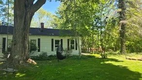 Wake-N-Lake Cottage - Image 3