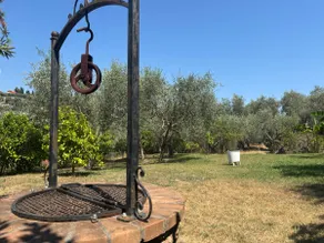 Alex's oasis - Image 4